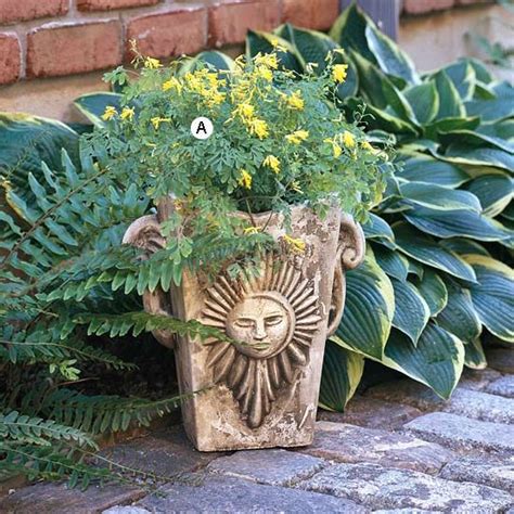 We did not find results for: Container Garden Recipes for Shade | Long blooming ...