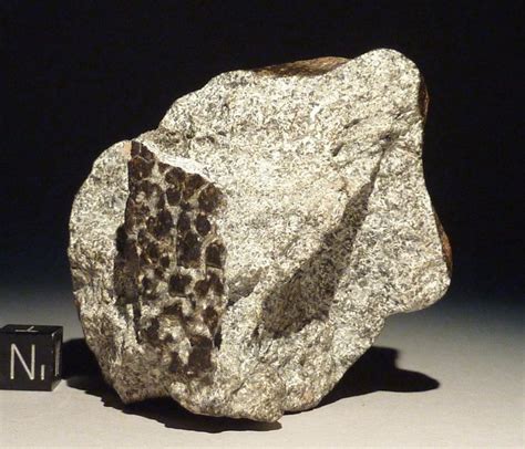 Eucrite Meteorite Nwa 11749 1812 G Main Mass Fusion Crust
