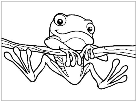 √ Frog Coloring Pages For Kids Free Frog Coloring Pages