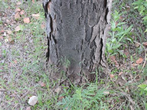 Maybe you would like to learn more about one of these? Mesa County Colorado