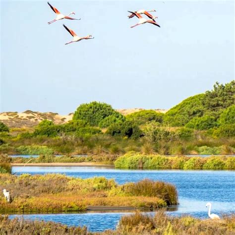 Ria Formosa Natural Park Algarve Beach Transfer