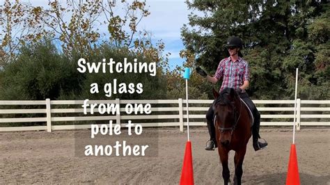 Working Equitation Obstacles Part 1 Youtube