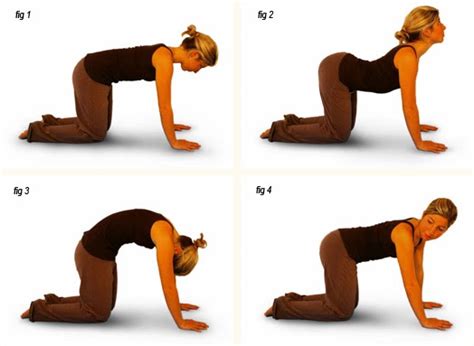 Benefits of cat/cow yoga poses during pregnancy almost all of our prenatal classes will include the yoga pose cat/cow. Becoming Mom: Pregnancy Back Saver: Cat Cow Pose