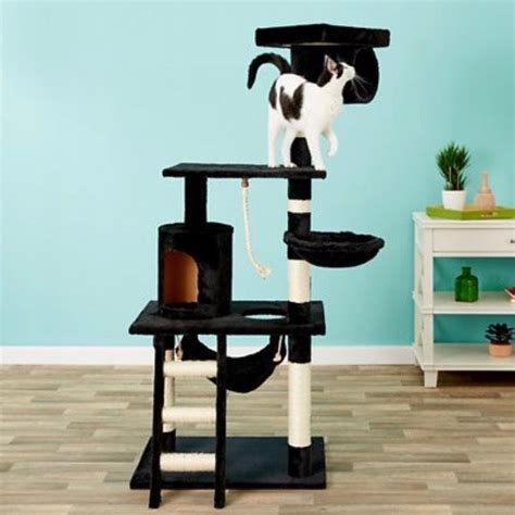 Cat Trees Are A Vertical Territory That Allows Cats To Enjoy Their Own