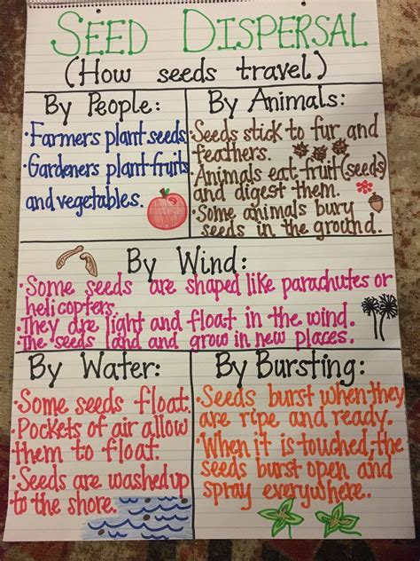 Earths Changes Anchor Chart Science Fourth Grade Science Science