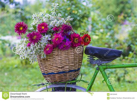 Wicker Basket With Autumn Flowers On A Vintage Bike Stock Photo Image