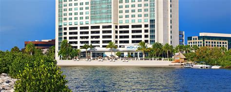 Pet Friendly Hotel In Florida With Kitchenettes The Westin Tampa Bay