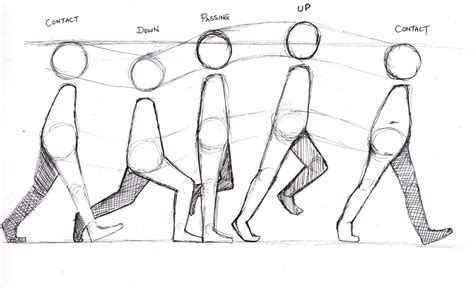 This is a picture of a walk cycle showing the key posses in the walk walking in a animation could understandably be hard to create as replicating the fluid movement in. 3D Character Animation: Basic Walk Cycle