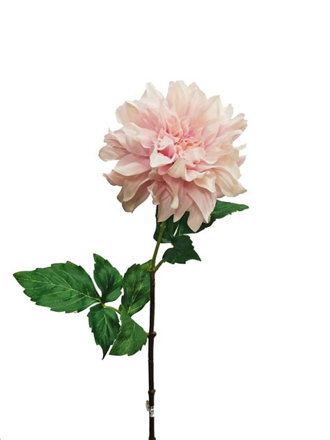The dahlia flower florist has a big responsibility with that of cultivating dahlias. Large Dahlia w/curl petals FB0118-LIL - Silkflora ...