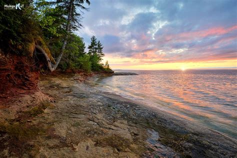 The Sun Is Setting On An Ocean Shore With Trees In The Foreground And