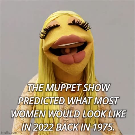 The Future Of Woman Now Janice Muppet Show Imgflip