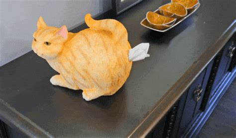 Cat Butt Tissue Dispenser Is A Thing You Obviously Need