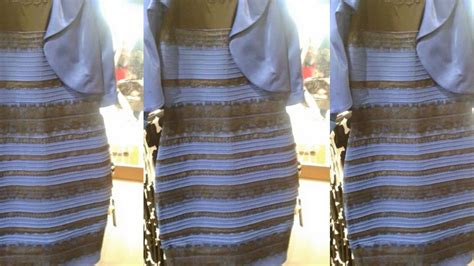 what colour do you see why the internet is freaking out over a dress