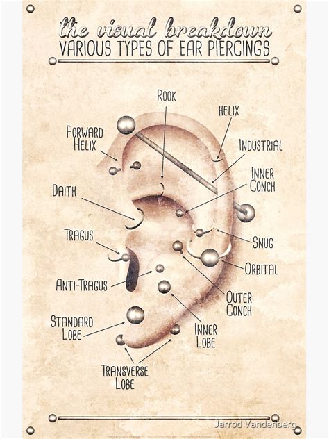 Ear Piercing Chart Vintage Grunge Photographic Print For Sale By