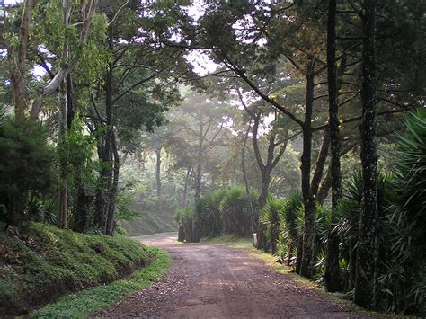 Hiking La Selva Negra The Cloud Forest Of Nicaragua