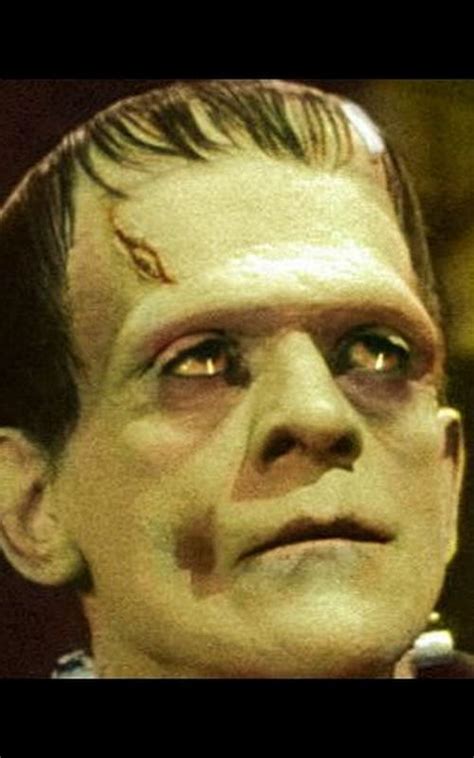 Test Your Knowledge Of Mary Shelleys Classic Novel Frankenstein
