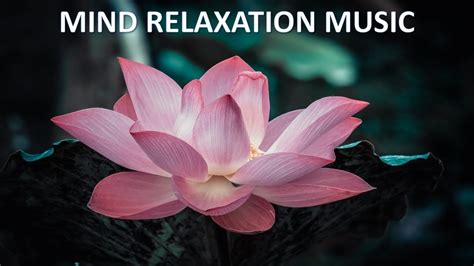Relaxing Music For Stress Relief Meditation Music Youtube