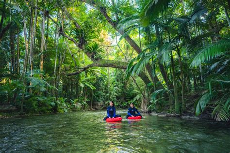 13 Things To Do In The Wet Tropics World Heritage Area Queensland