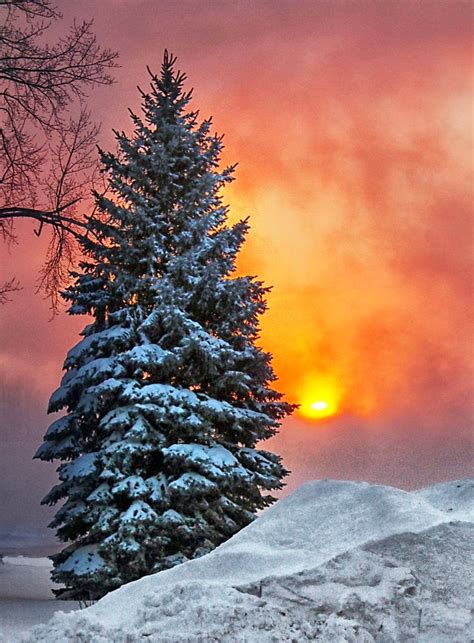 Snowy Sunset ~ Stunning Nature