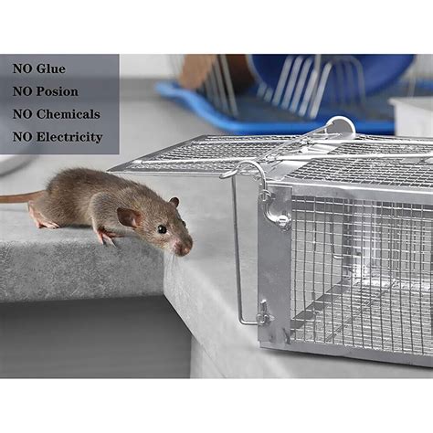 Humane Rat Trap Cage Live Animal Catch Pest Rodent Mice Mouse Bait