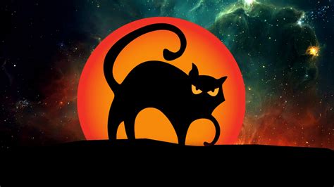 Free Download Halloween Black Cat Desktop Hd Wallpaper Black Cat Hd