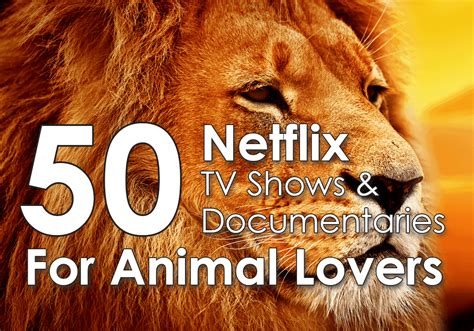21 movies on netflix animal lovers will adore. 50 Netflix Shows & Documentaries For Animal Lovers