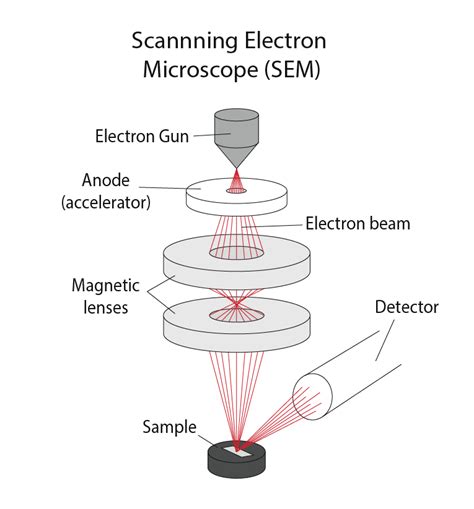 The Scanning Electron Microscope Engineering Atoms