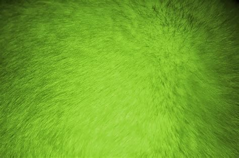 49 Lime Green Desktop Wallpaper Wallpapersafari