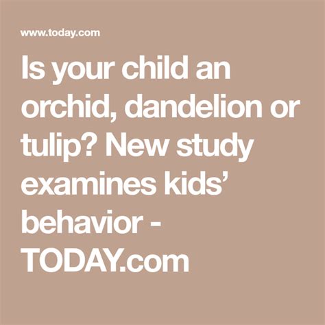 Orchid Dandelion Or Tulip Which Type Of Child You Have Says A Lot