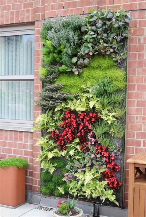 Outdoor Living Wall Featuring A Range Of Plants Vertical Garden Design