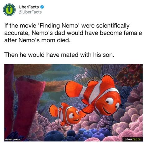 If The Movie Finding Nemo Were Scientifically Accurate Nemos Dad