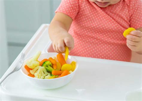 Baby Led Weaning O Blw Para Beb S Gu A Completa Pequerecetas