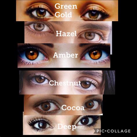 Different Shades Of Brown Eyes Chart