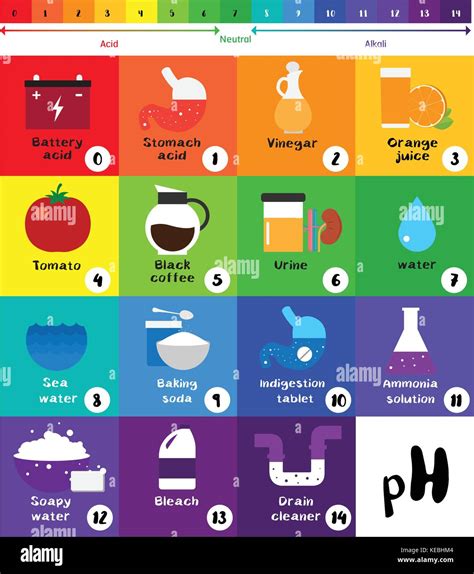 La Escala De Ph Indicador Universal De Ph Cido Diagrama De Color Valores Comunes De Sustancias