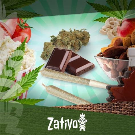 When you're hungry and desperate to eat something — anything? Top 5 Healthy Snacks for Stoners - Zativo