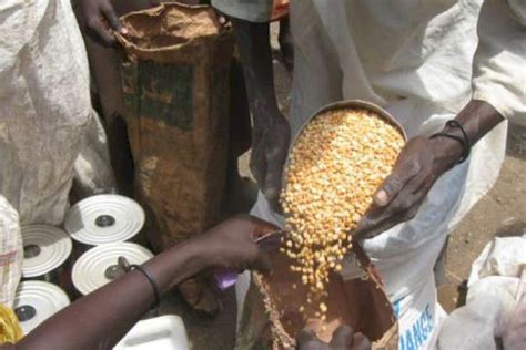 West Africa Facing Its Worst Food Crisis In A Decade Aid Organisations Warn Black News From