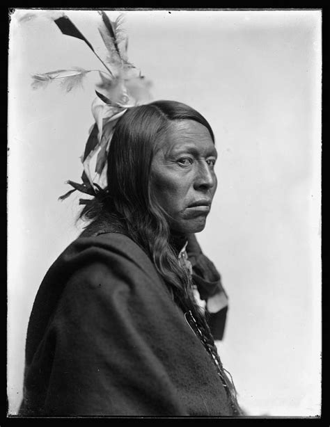 Flying Hawk American Indian Native American History American Indians