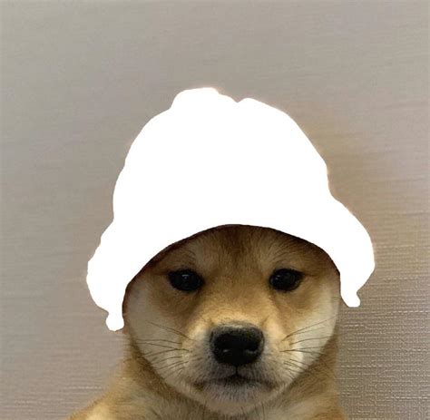 Can Someone Make A Dog Wif Hat So That He Looks Like The Avatar From