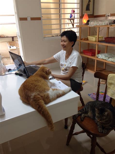 Ginger's dream come true - AnimalCare