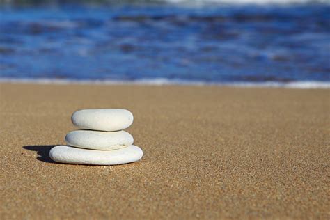 Kostenlose Foto Strand Meer Wasser Sand Rock Ozean Holz Ufer