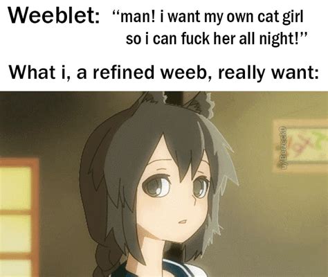 Professional Weebs Have Standards Ranimemes Anime Memes Otaku