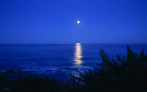 Download Night Sea Moon Ocean Reflection Wallpaper By Lisaw72
