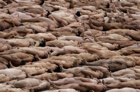 Nackte Installation Vor Dem Opernhaus In Sydney Mehr Als Menschen