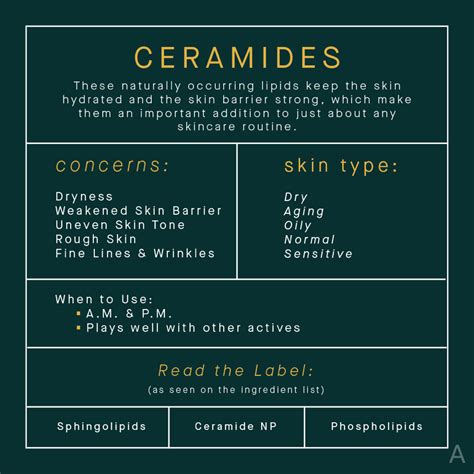 Read The Label All Of Your Ceramide Questions Answered The Aedition