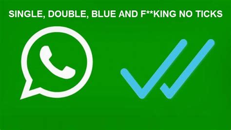 Whatsapp Ticks Explained What Do They Convey