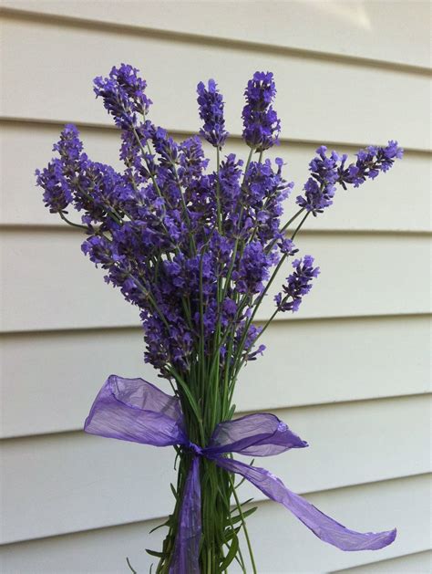Fresh Lavender Bouquetwho Wouldnt Love To Get One Of These