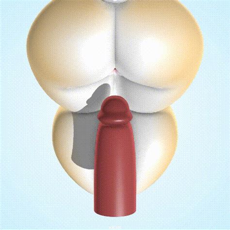 Rule 34 2016 3d Animated Anus Ass Big Penis Disembodied Penis Female