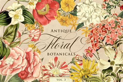 Antique Floral Botanical Graphics Vol 3 Avalon Rose Design