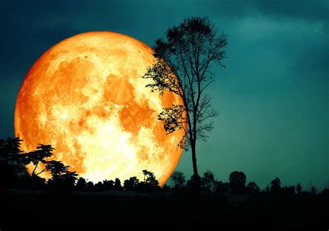 Eclipse E Super Lua De Sangue Nos Próximos Dias