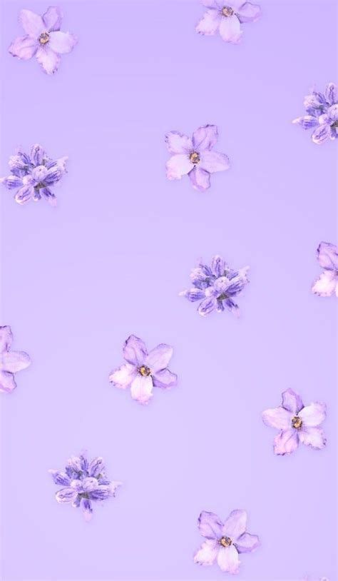 Pastel Purple Aesthetic Wallpaper Flowers Lavender Background
